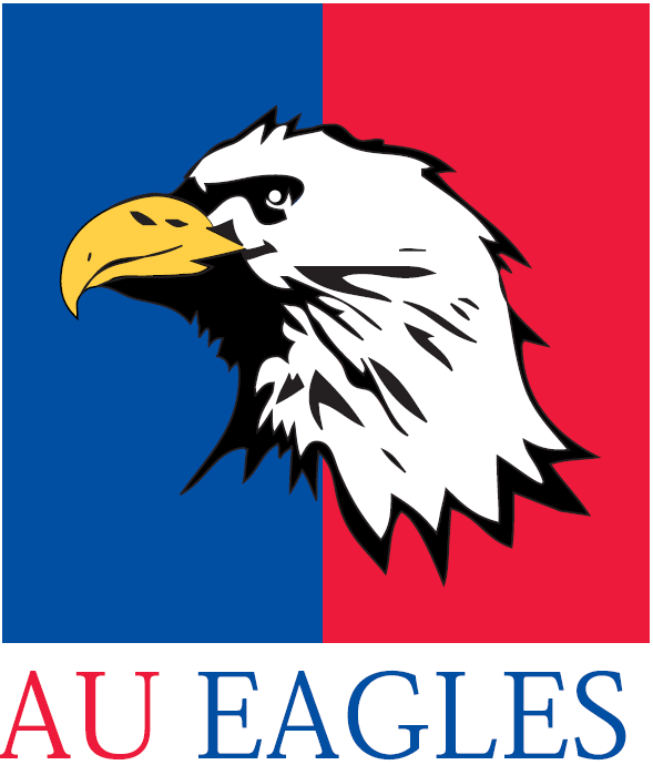 American Eagles 1985-2005 Alternate Logo diy DTF decal sticker